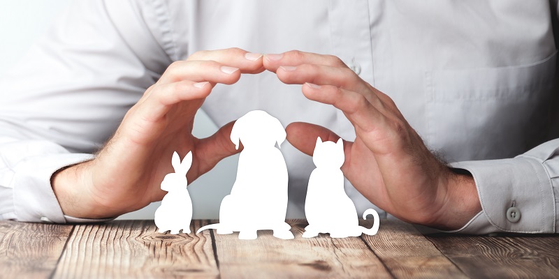 Pet Health Insurance Boom: North American Market Grows by 23.5% in 2022 Amid Economic Challenges